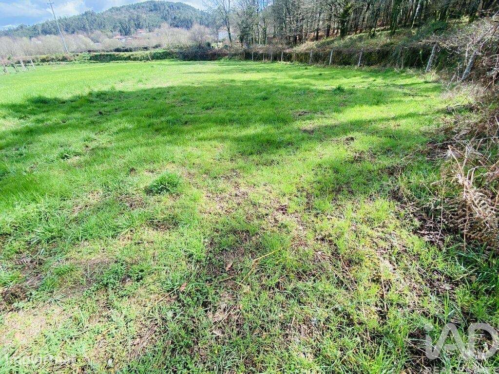 Terreno em Sapardos de 1460,00 m2 - Grande imagem: 4/10