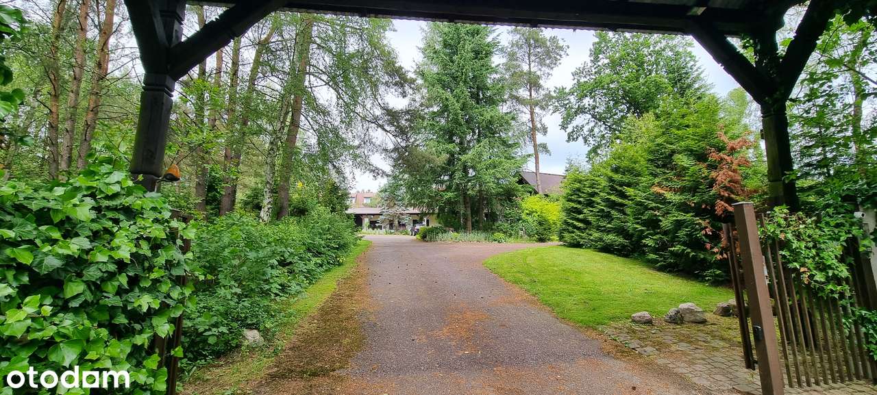 Atrakcyjny teren pod 15 bliźniaków wkomponowanych wśród drzew-6