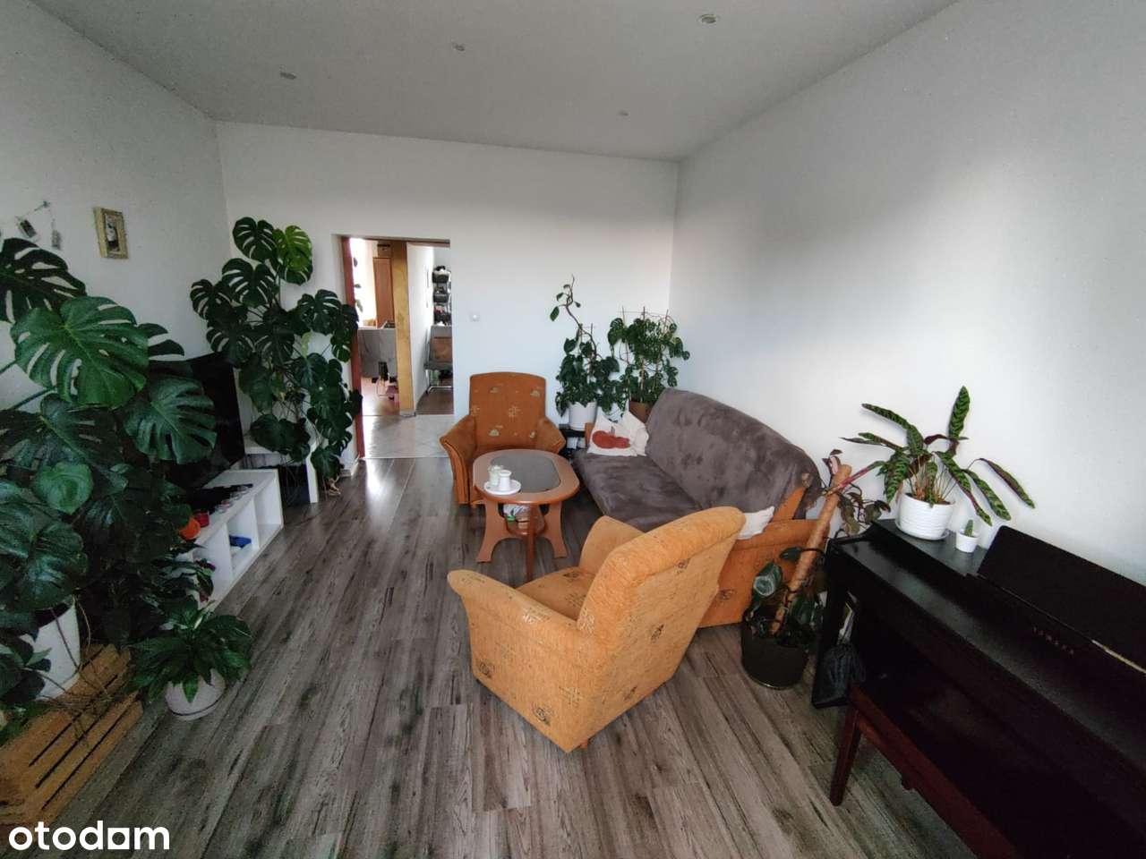 Przestronne M3, 48m2 w zielonej części Blachowni - Pełny obrazek: 5/12