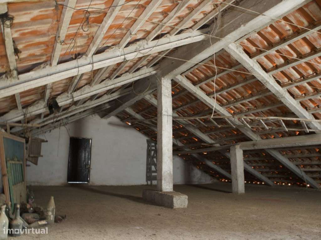 The Hidden Garden Project-10