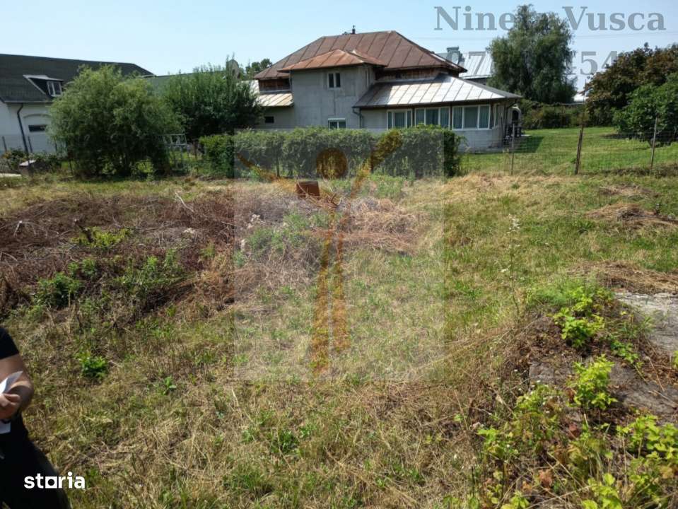 TEREN INTRAVILAN ANINOASA-DAMBOVITA - Imagine principală: 2/11