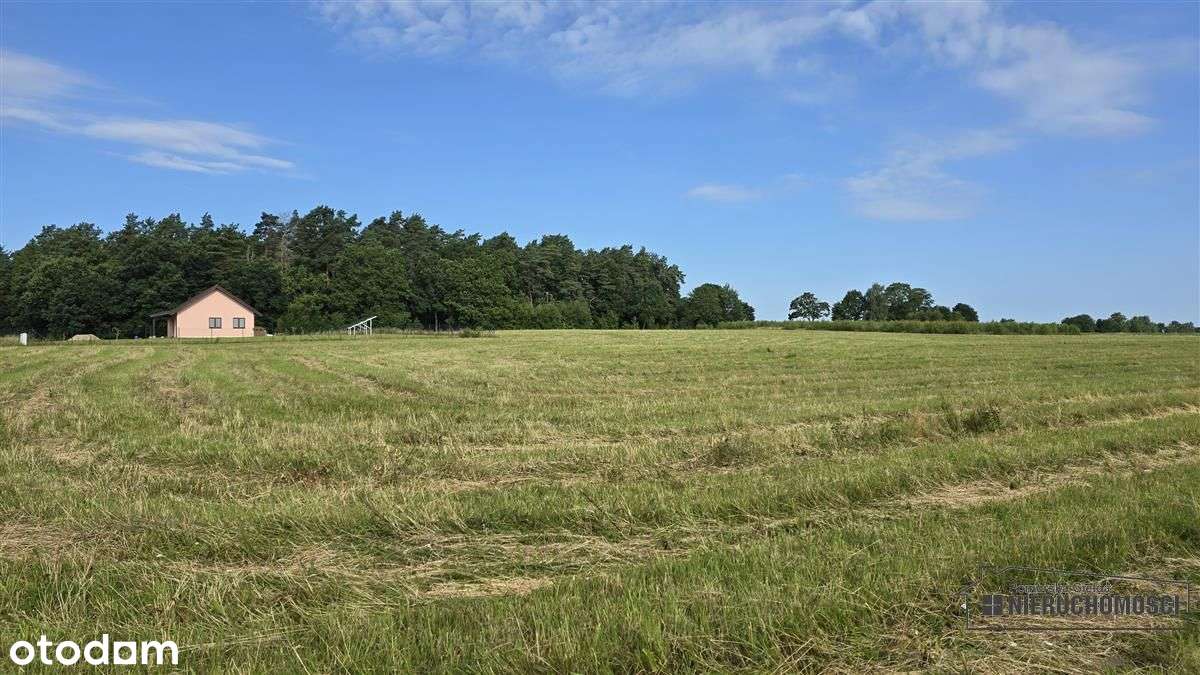 50 km od Morza Bałtyckiego, Sadkowo, tania działka-6