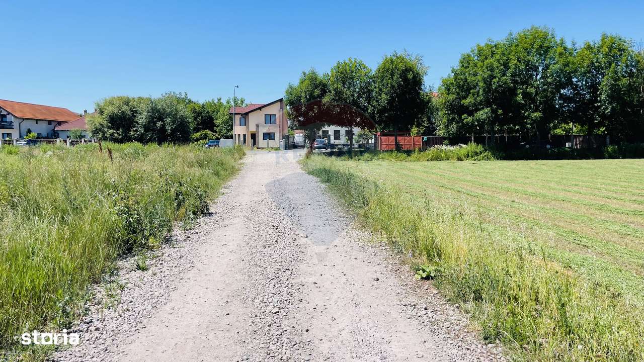 Teren intravilan 10.000 mp în Stupini, Brașov - Imagine principală: 4/9