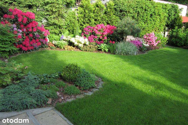 Dom wolnostojący - Gdynia Działki Leśne-11