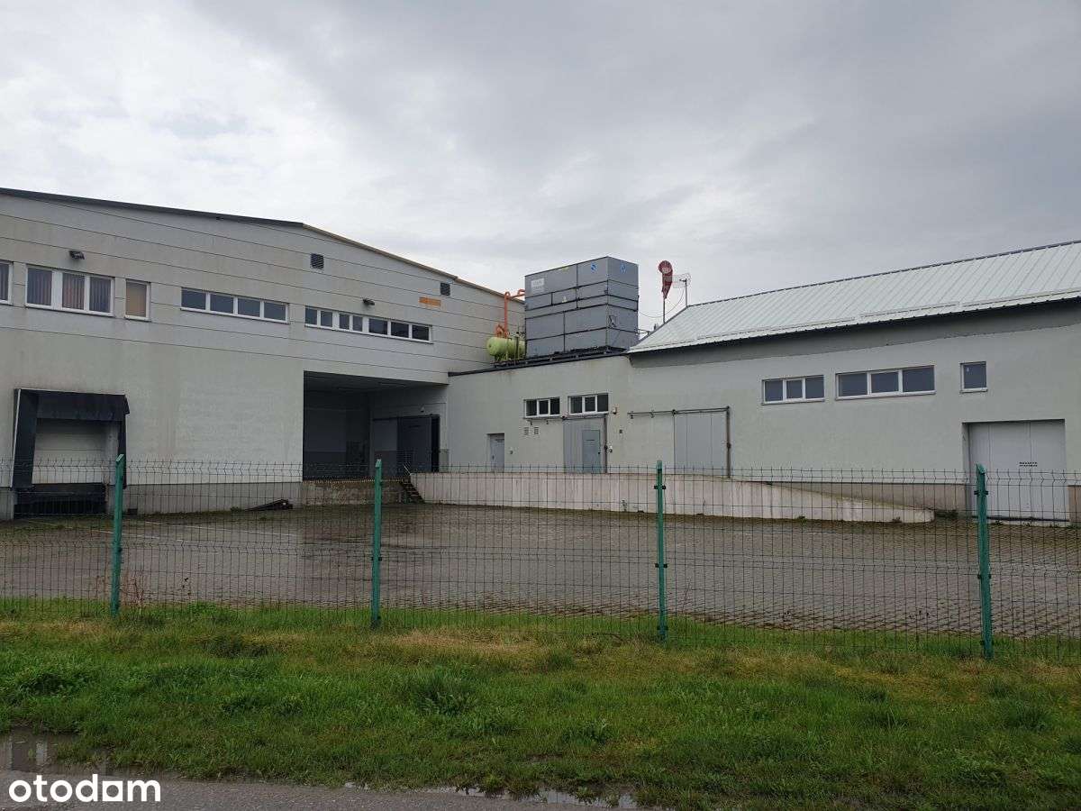 Hala magazynowa - mroźnia - na sprzedaż - Pełny obrazek: 4/20