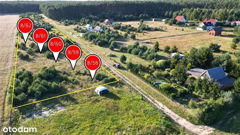 Działki na terenie Puszczy Rzepińskiej - Pełny obrazek: 3/16