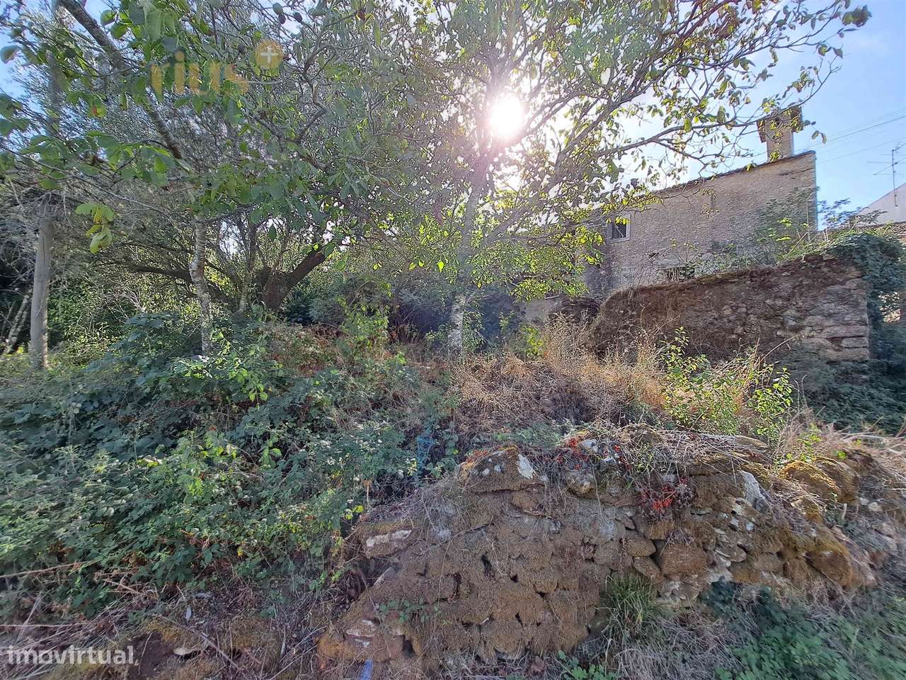 Moradia em Pedra T4 para Recuperar – Casais e Alviobeira, Tomar - Grande imagem: 4/17