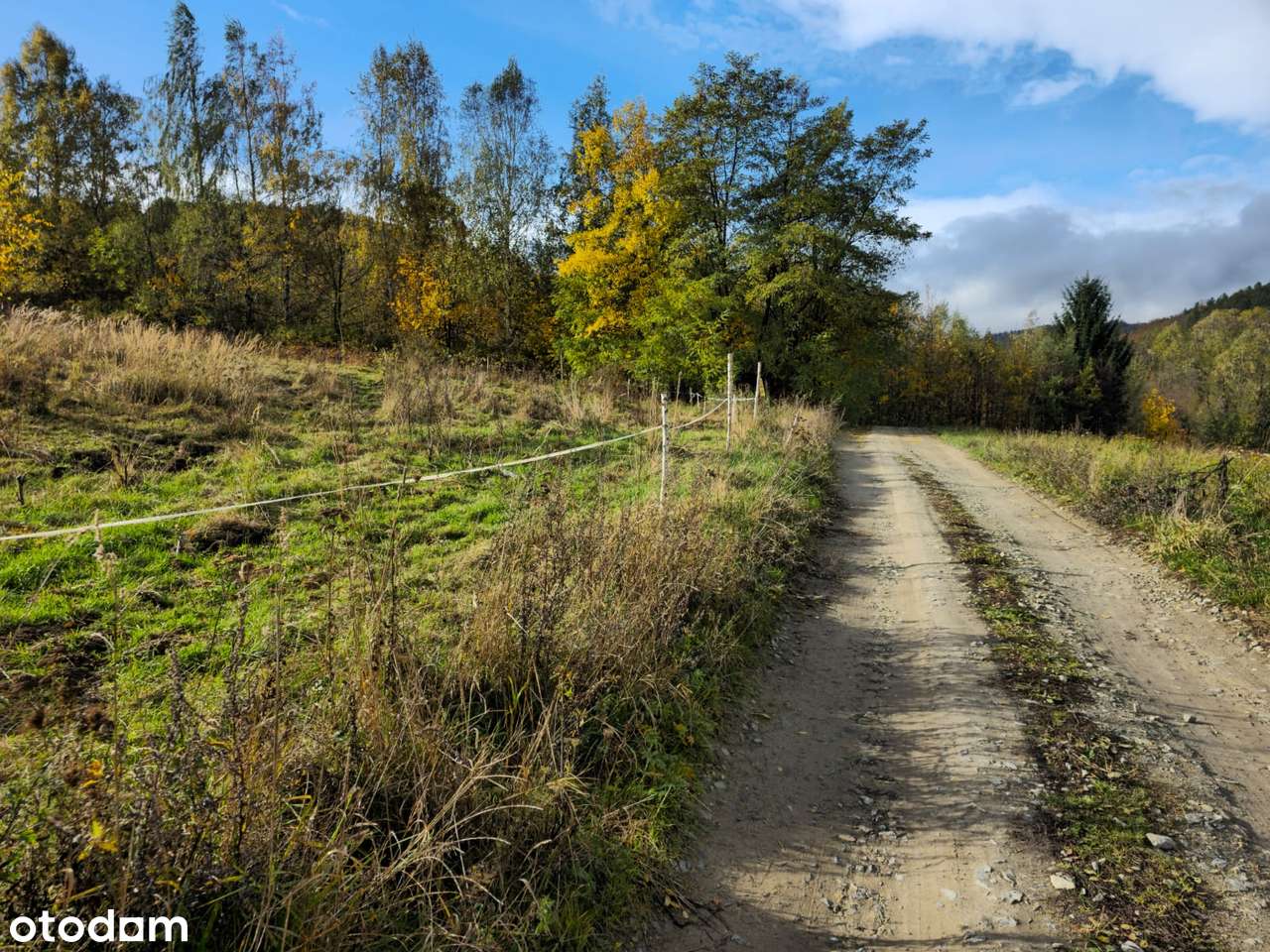 4 Działki przy lesie z widokiem na Góry Sowie-14