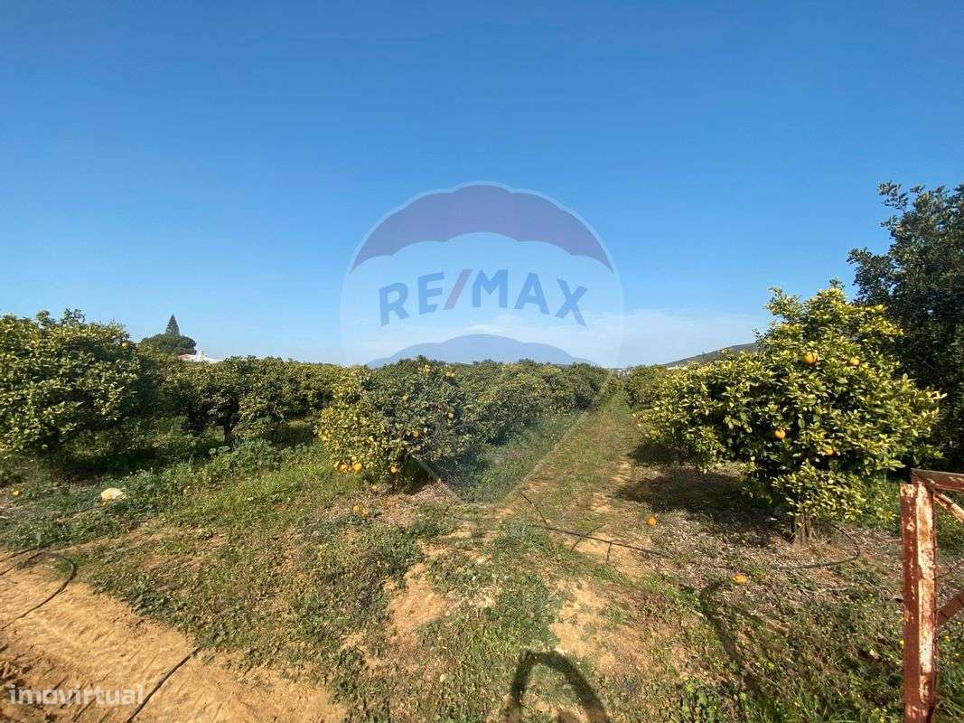 Terreno  para venda - Grande imagem: 4/10