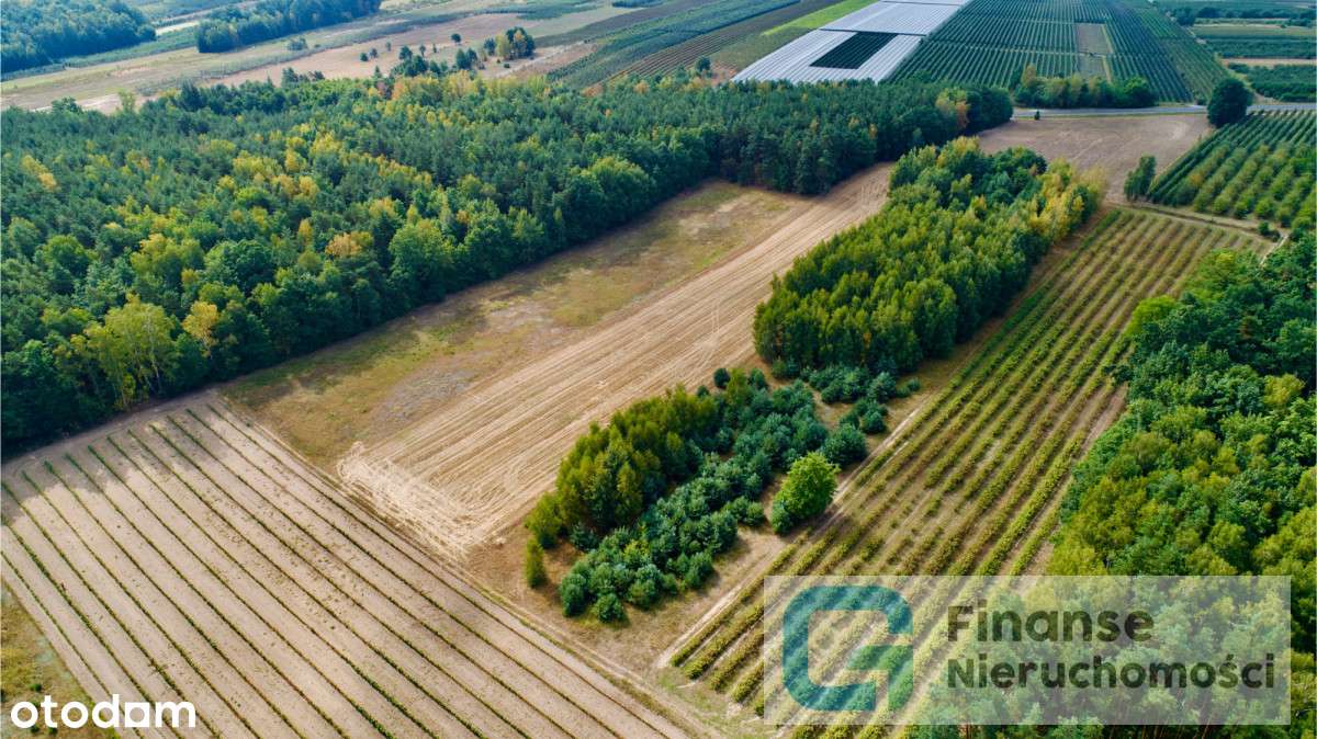 Działka rolna w Wólce Lesiewskiej - Pełny obrazek: 4/7