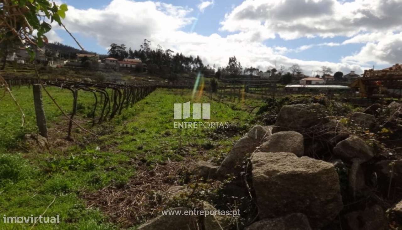 Venda de Terreno, Subportela, Viana do Castelo - Grande imagem: 3/5