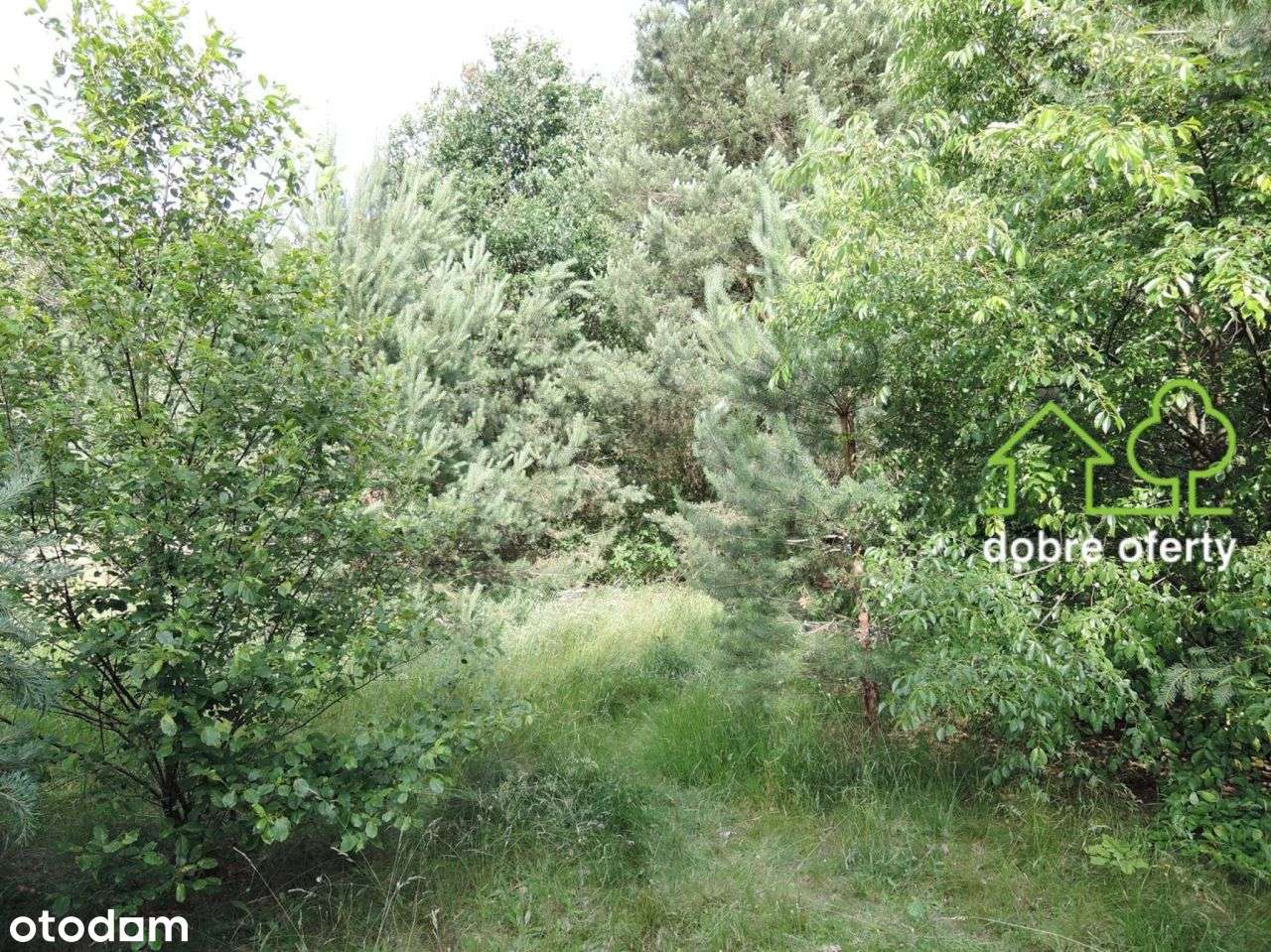 Działka budowlana Mpz-4