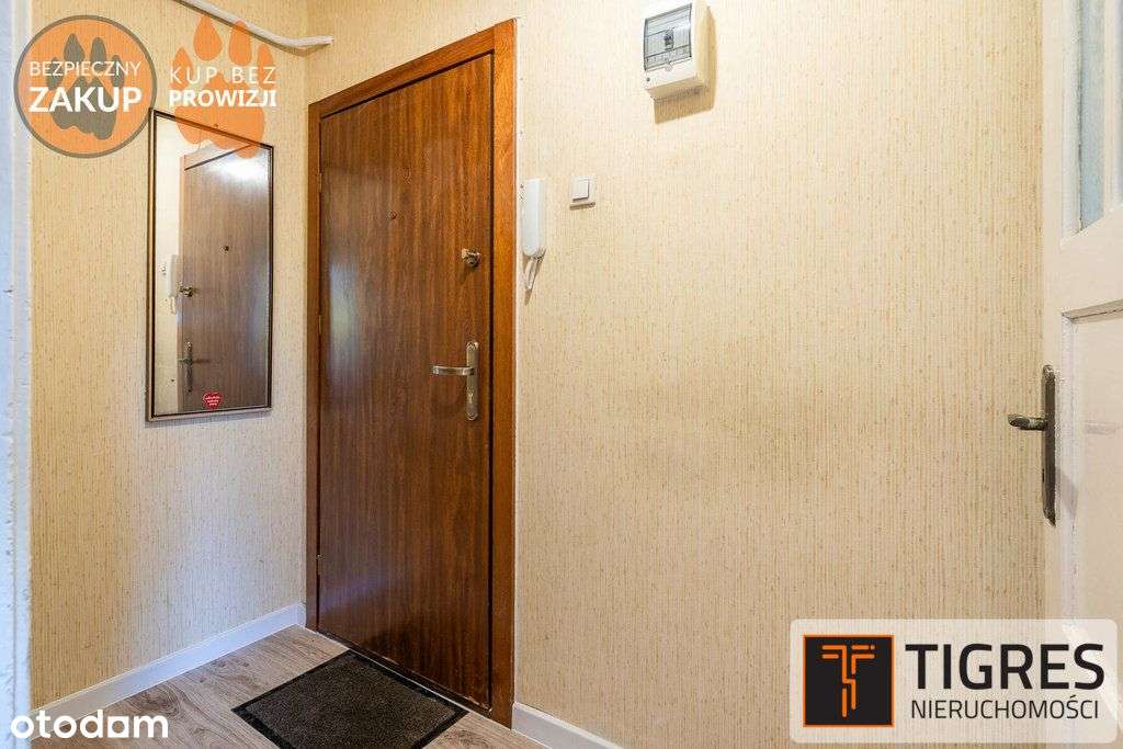 Gumed, Pg / Ogródek / Słoneczne / 0% prowizji-5