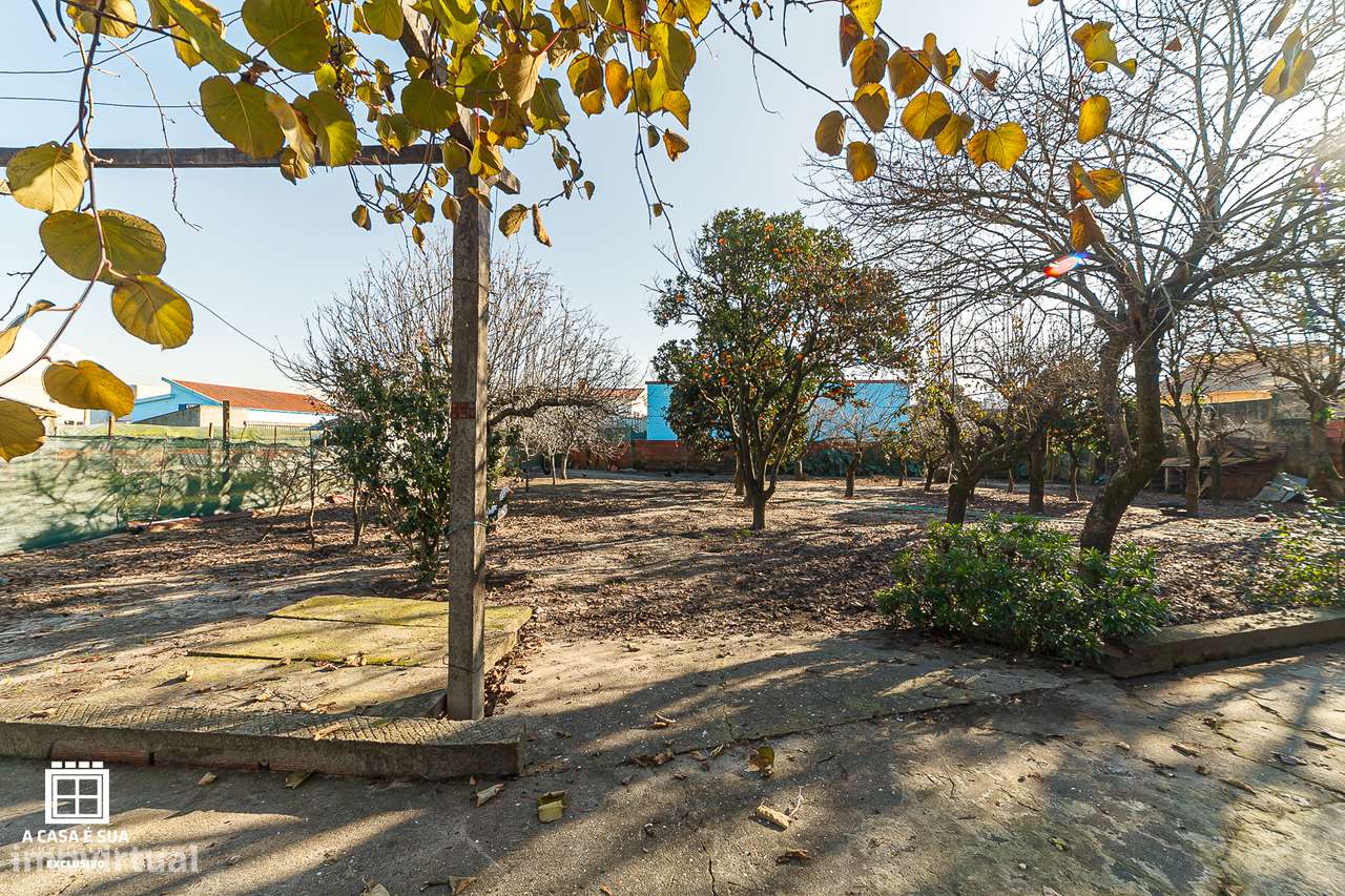 Terreno Rústico com Viabilidade de Construção  em Pardilhó - Exclusivo-16