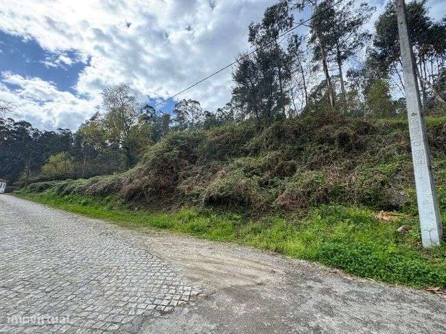 Terrenos - Vila Verde-8