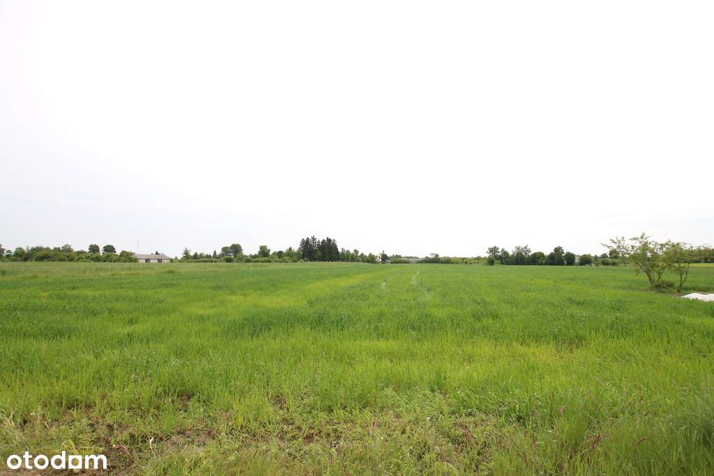 Działka rolno-budowalana Brzostówka g. Serniki 50a - Pełny obrazek: 5/20