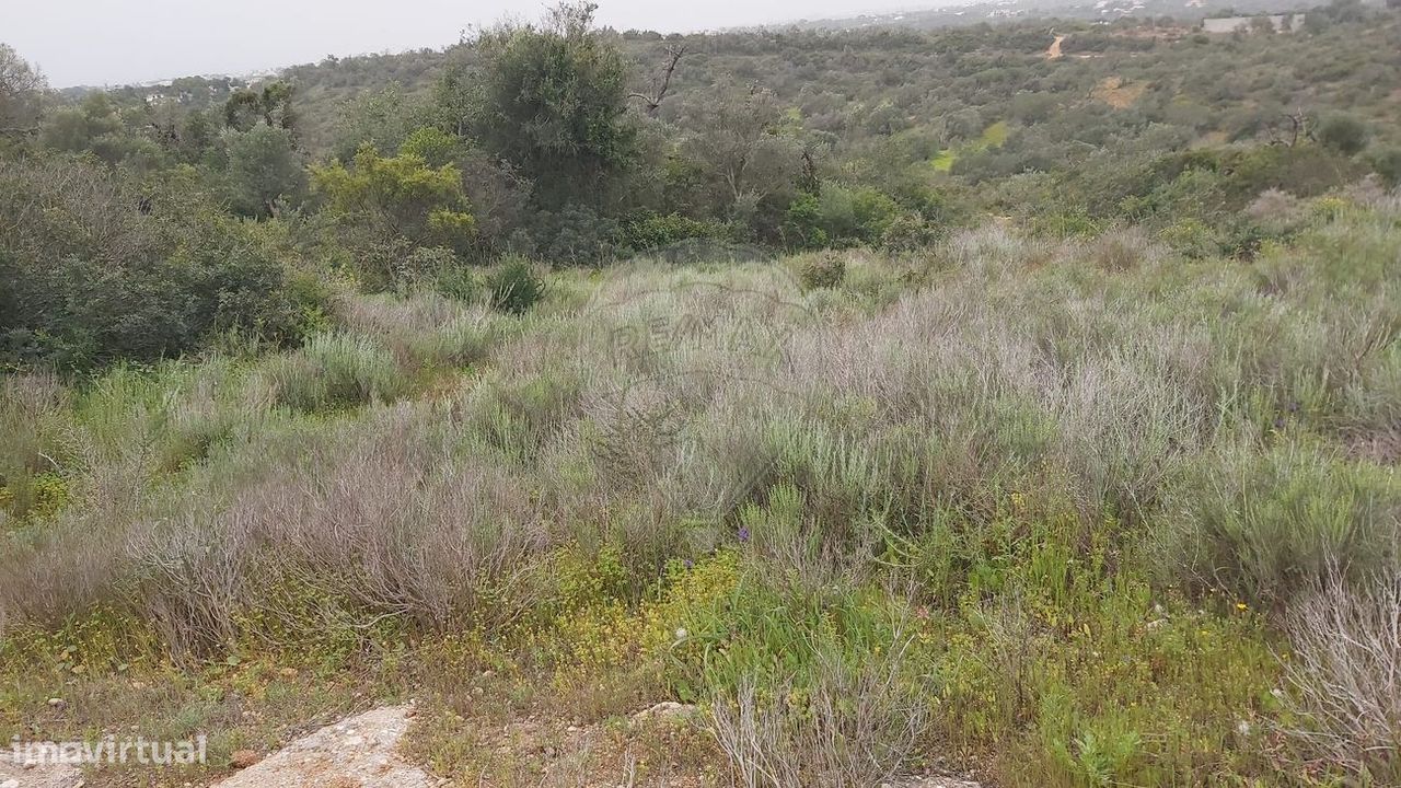 Terreno  para venda