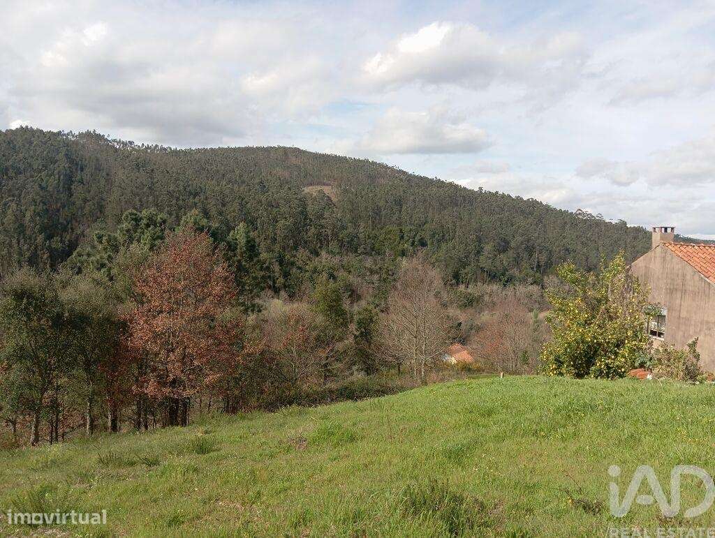 Terreno em São Miguel, Santa Eufémia e Rabaçal de 3870,00 m2 - Grande imagem: 5/10