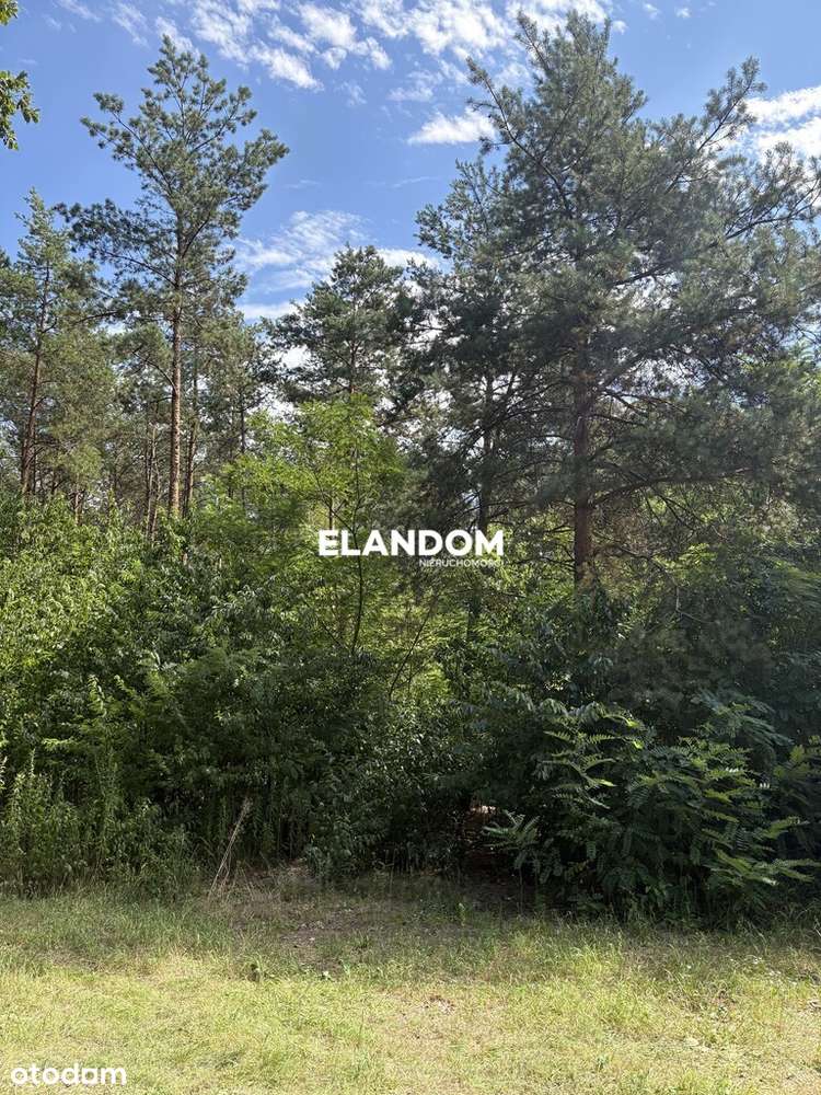 Kameralna działka w Józefowie - Pełny obrazek: 1/2