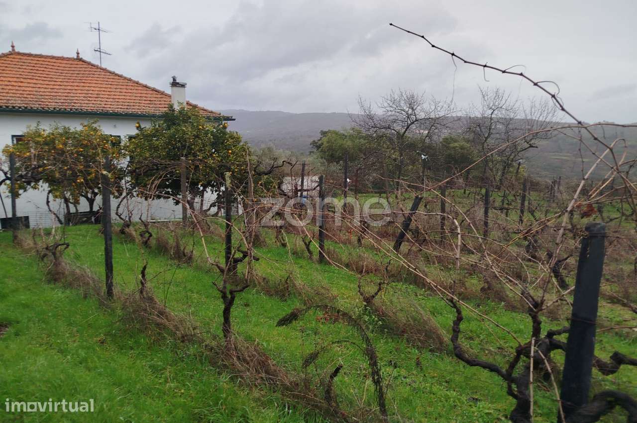 Moradia com Alma, Sol e Natureza — Um Refúgio Perfeito para Viver-38