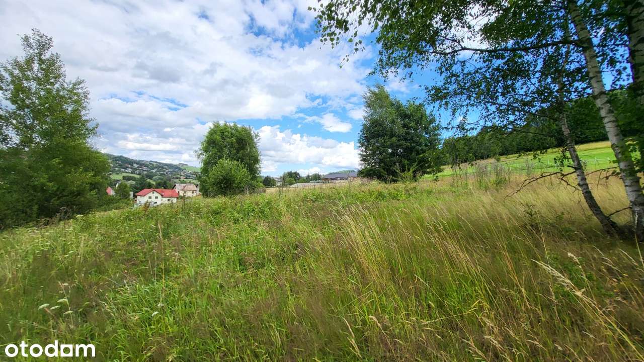 Działka budowlana, 1600 m2, Istebna - Pełny obrazek: 5/15