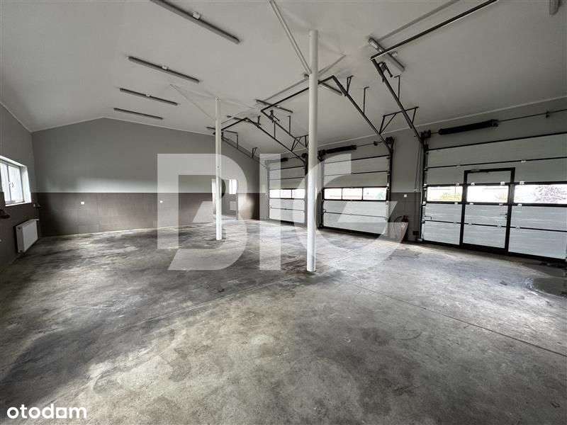 Magazyn. Gotowy do wprowadzenia - Pełny obrazek: 4/11