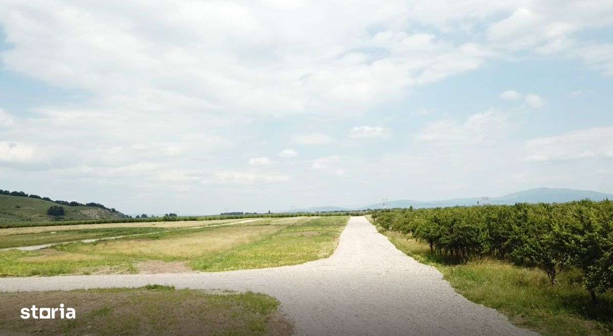 Vand teren intravilan Sanpetru la poalele Dealului Lempes-14