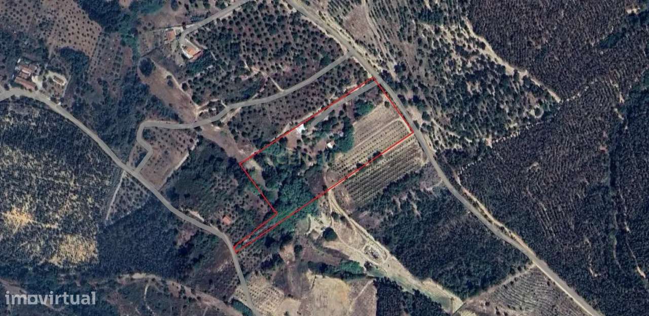 Terreno rústico 28200m2 em Vale do Junco, Chamusca, Golegã-38