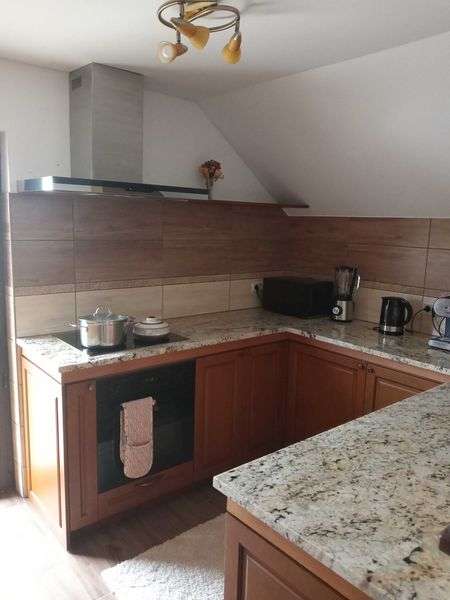 Casa de vanzare Horodnic de Jos 200m2 teren 2500m2 150000 euro - Imagine principală: 5/8