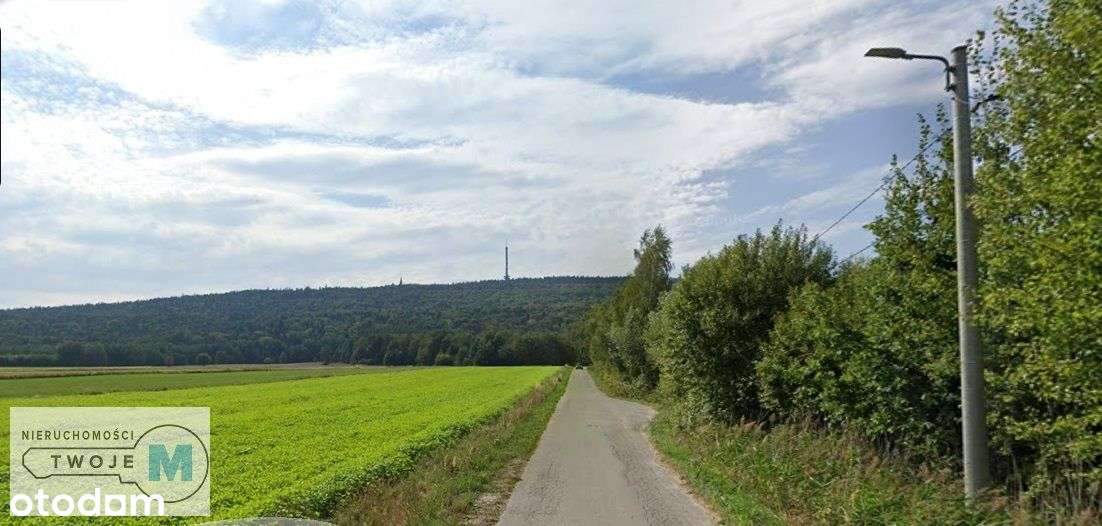 Dzialka - tylko 30min szlakiem na Święty Krzyż! - Pełny obrazek: 2/6