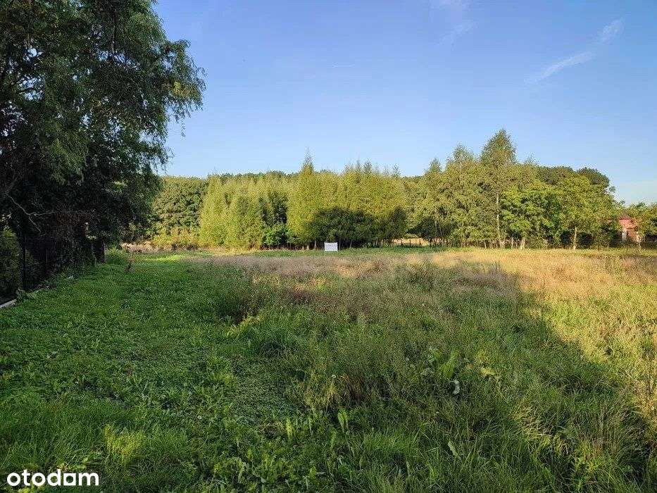 Działka budowlana pod lasem, Jawiszowice-3
