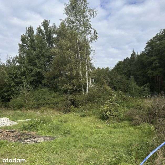 Działka budowlana pod lasem-5