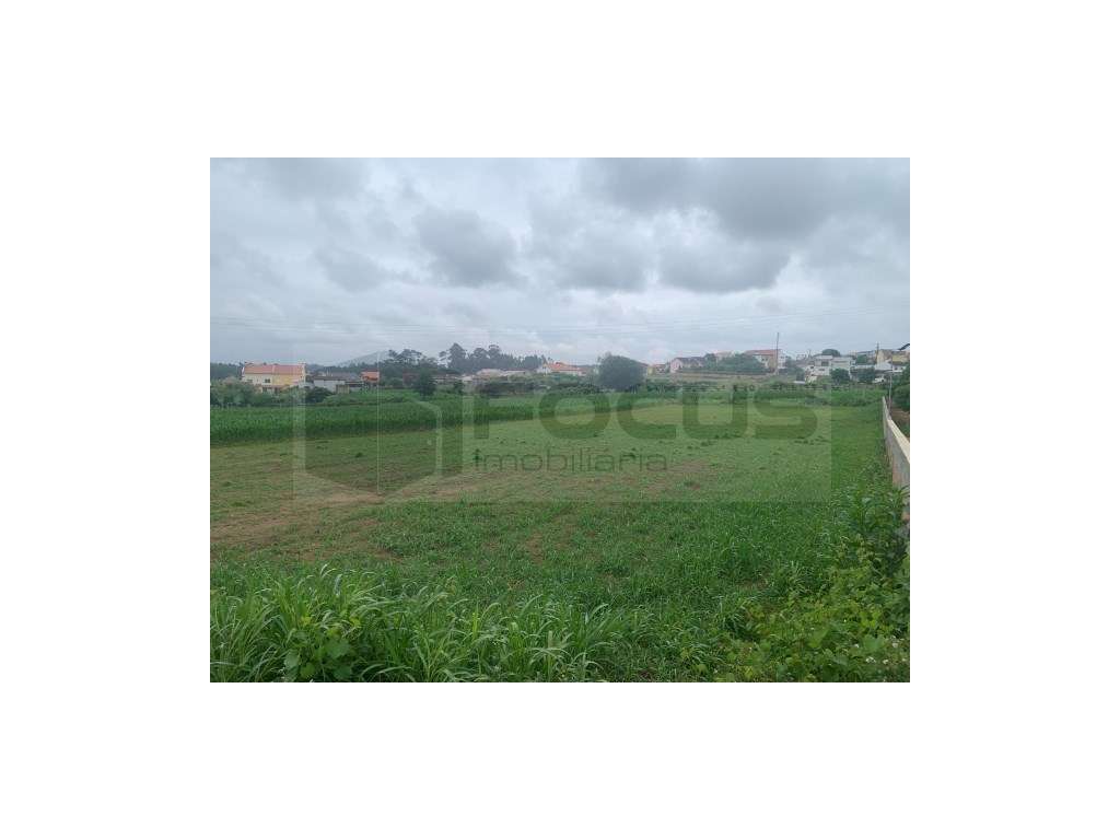Terreno para moradia isolada em Eixo - Aveiro - Grande imagem: 2/23