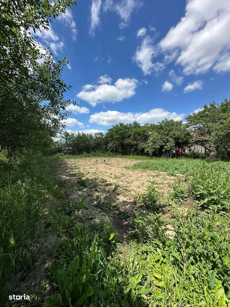 De vânzare | Casă tradițională la sat + teren 1.500 mp. Sat  Săbolciu-4