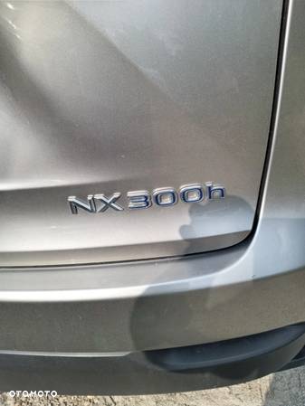 Lexus NX 300h - 10