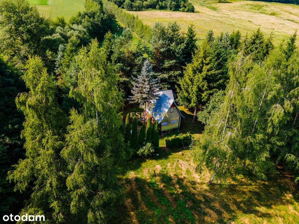 Domek letniskowy z dużą działką - Binczarowa
