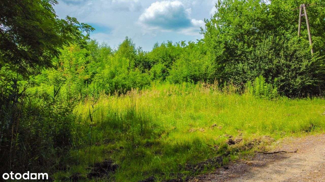 NOWY MPZP 1050mkw Budowlana + Własny Leśny Zakątek-7