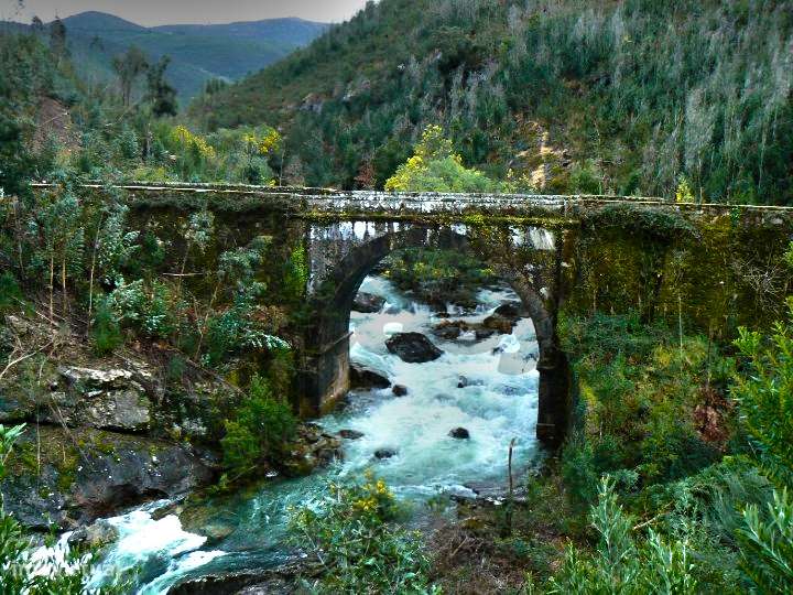 Moradia T2 em Covas com 500m² de Terreno | V.N. Cerveira-19