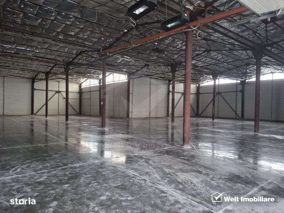 Spatiu depozitare sau productie 570 mp, renovat, zona Lidl Baciu - Imagine principală: 1/6