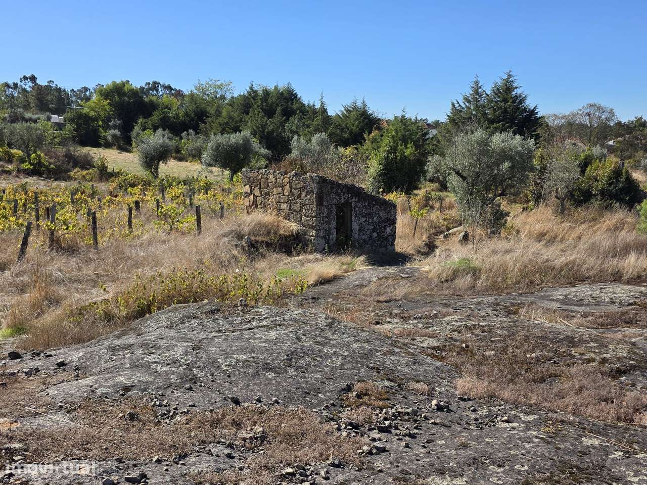 Quinta, um refúgio familiar com potencial incrível junto da A25! - Grande imagem: 5/27