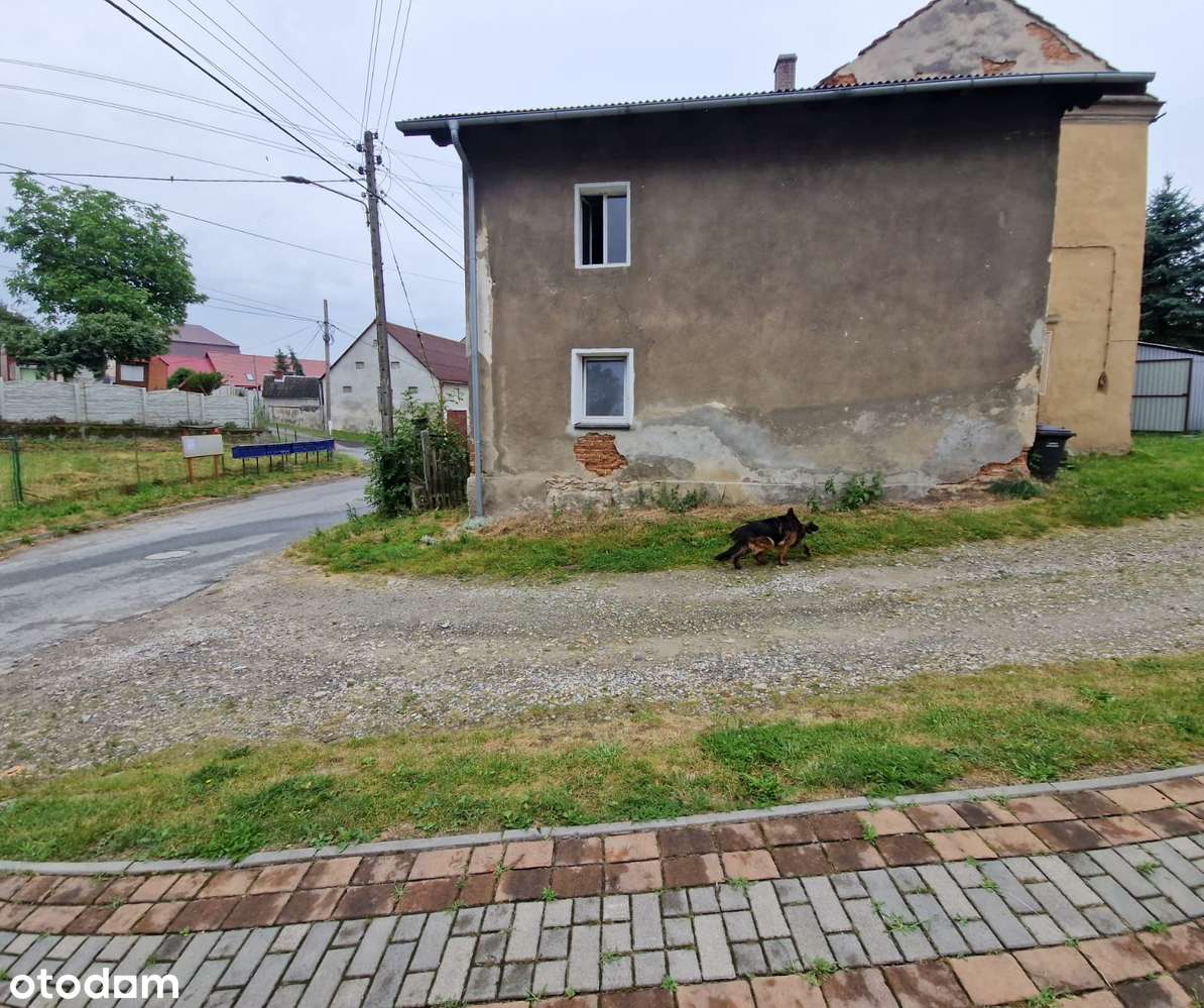 Na sprzedaż dom o pow. 250m2 w Polskim Świętowie - Pełny obrazek: 4/16