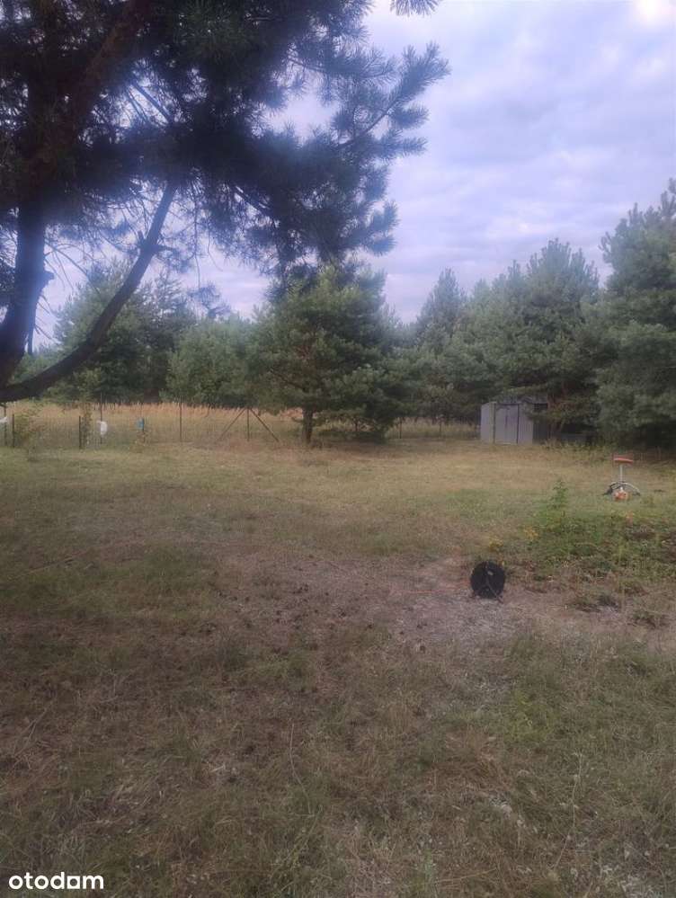 Piękna działka w Rakowni Gmina Murowana Goślina-8