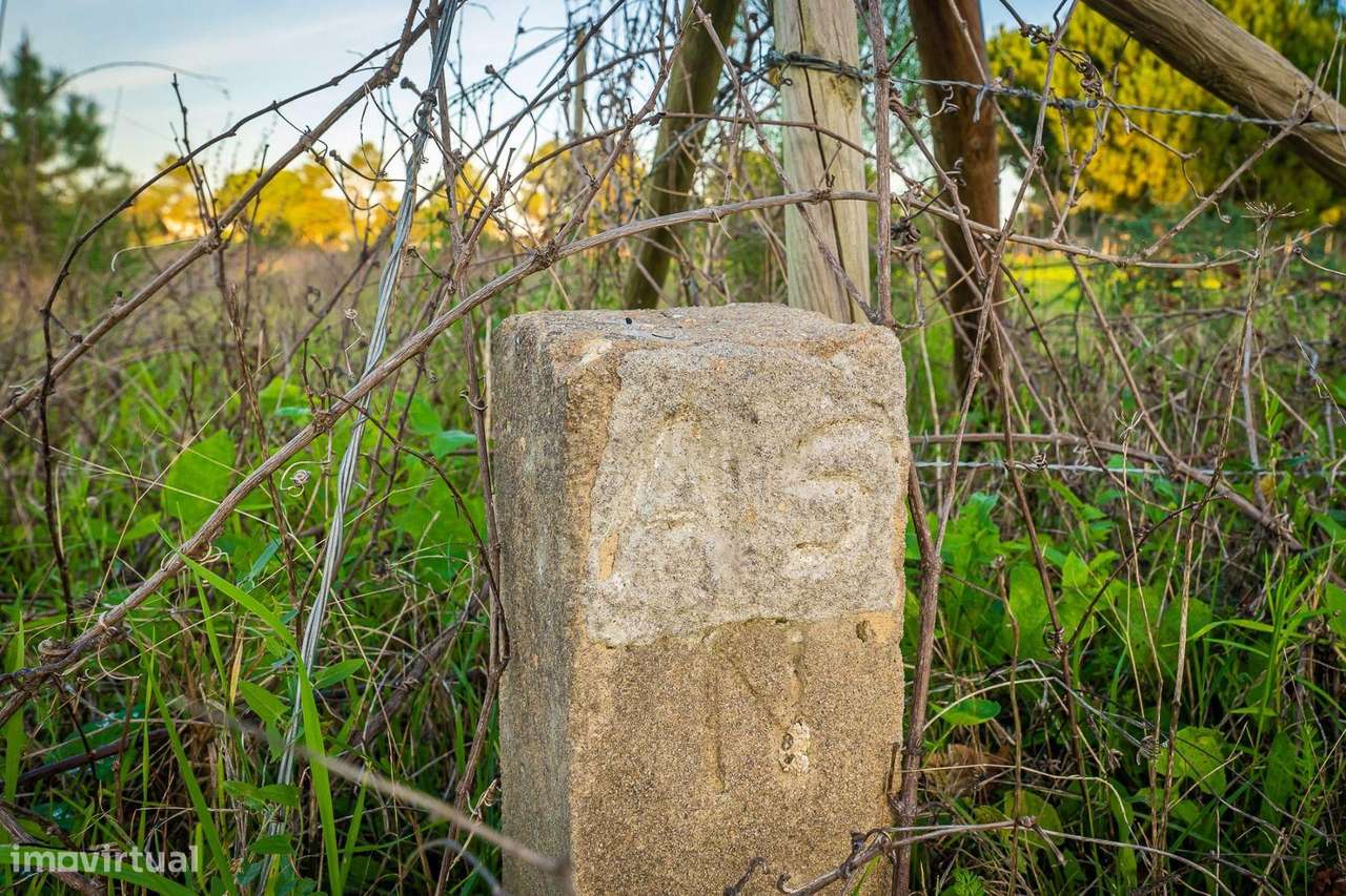 Terreno Rústico de 14.850m² em Vales, Palmela - Grande imagem: 5/26