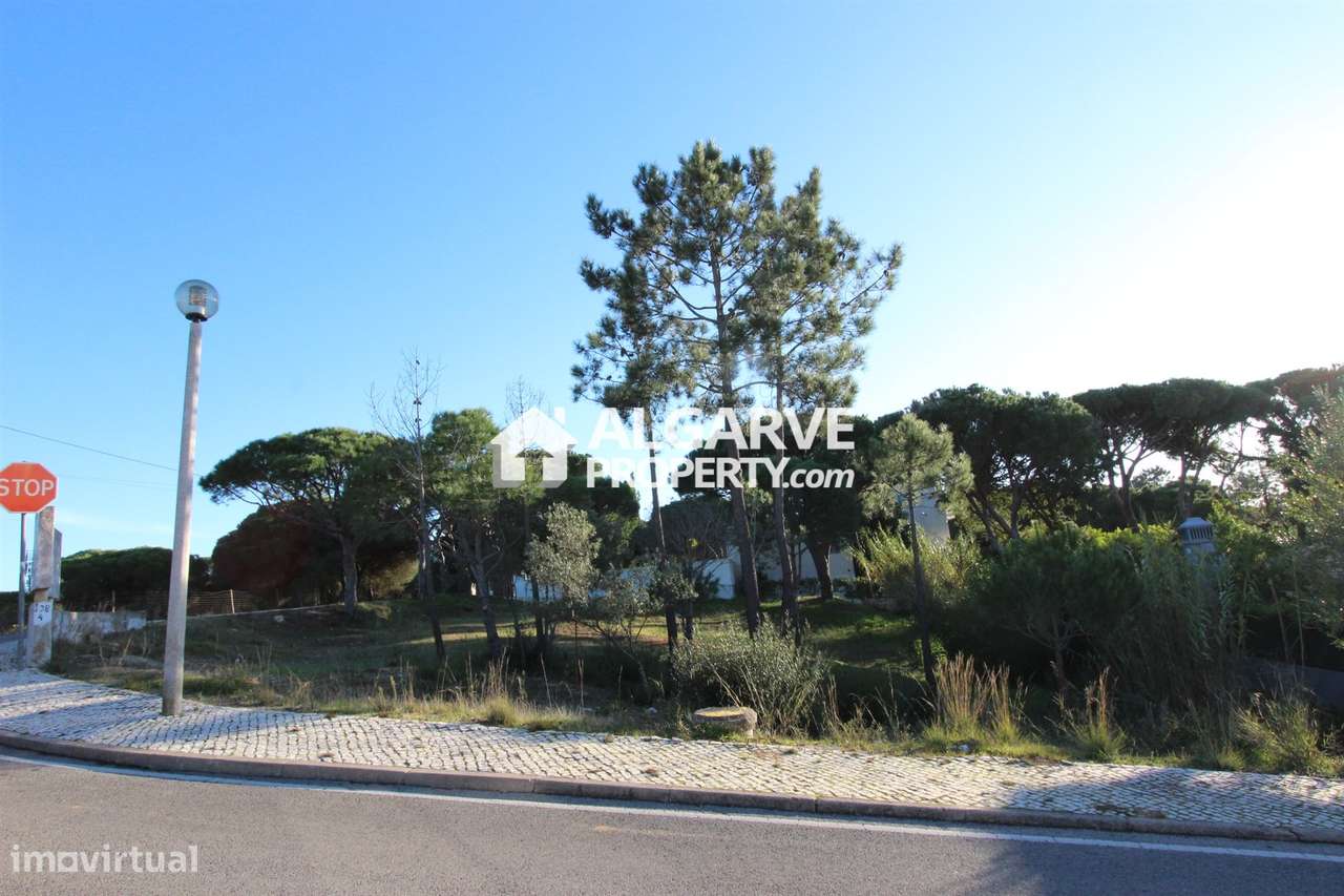 VILAS ALVAS - Lote de terreno perto da PRAIA - Grande imagem: 4/7