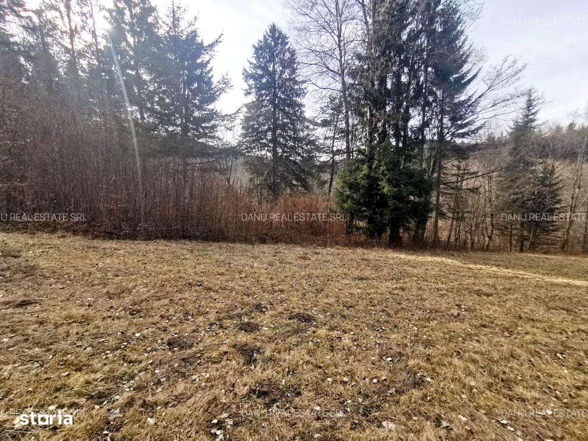 Teren intravilan2000mp în Vulcan BV–Oază de liniște -pădure si lacuri-10