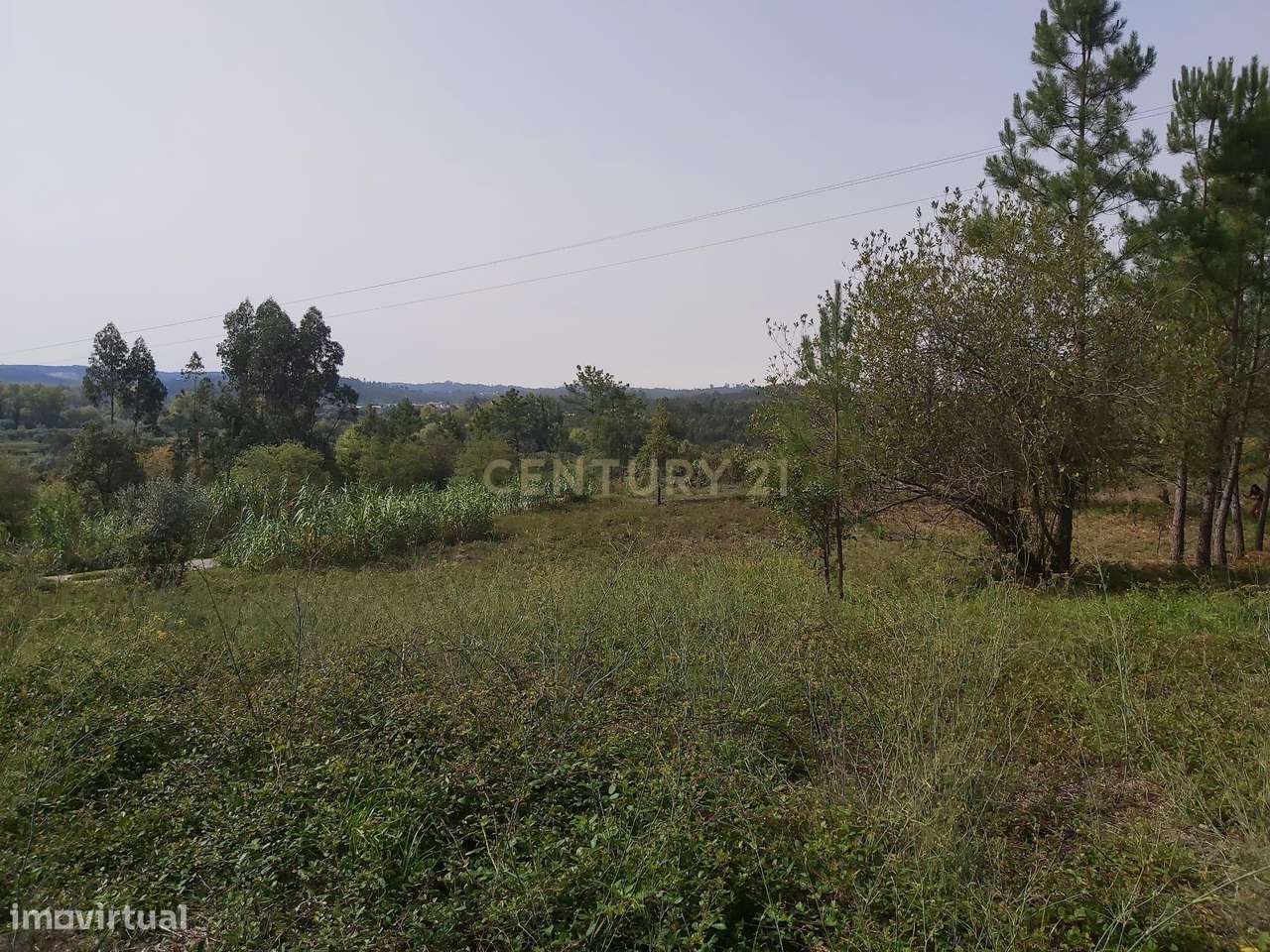 Terreno com projeto aprovado em Simões / Soure - Grande imagem: 4/9