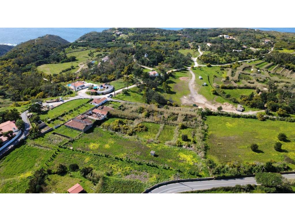 Terreno com 1,5 Hectarescom 4 Habitações junto ao Cabo da Roca-17