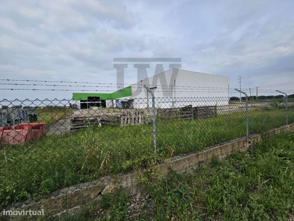 Armazém, Salvaterra de Magos - Santarém, 3.026 m2-13