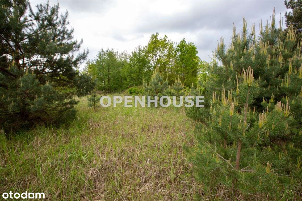 Wolnostojacy-Działka 3001m2,Garaż na 2 samochody-6