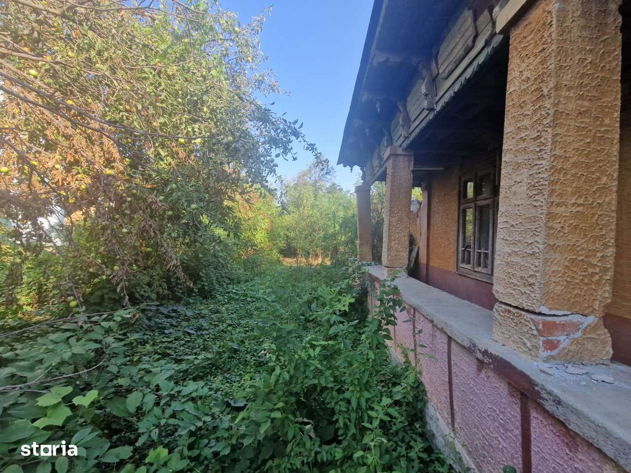 Cornetu - str. Garoafei, vanzare teren intravilan 1.600mp, stradal-10